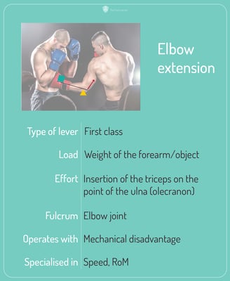 elbow-extension-card