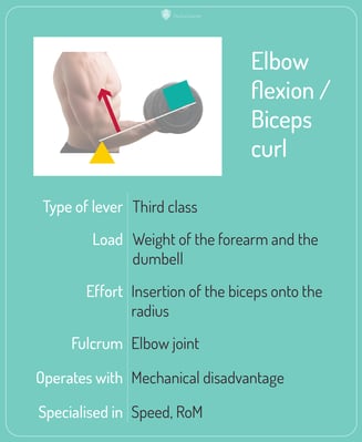 Elbow_flexion_card