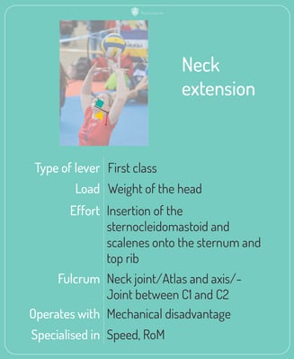Neck_extension_card