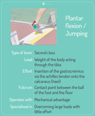 Plantar_flexion_card