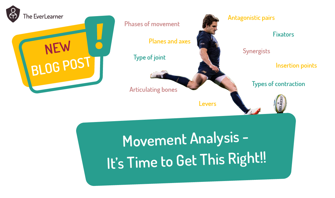 Movement Analysis - It's Time to Get This Right