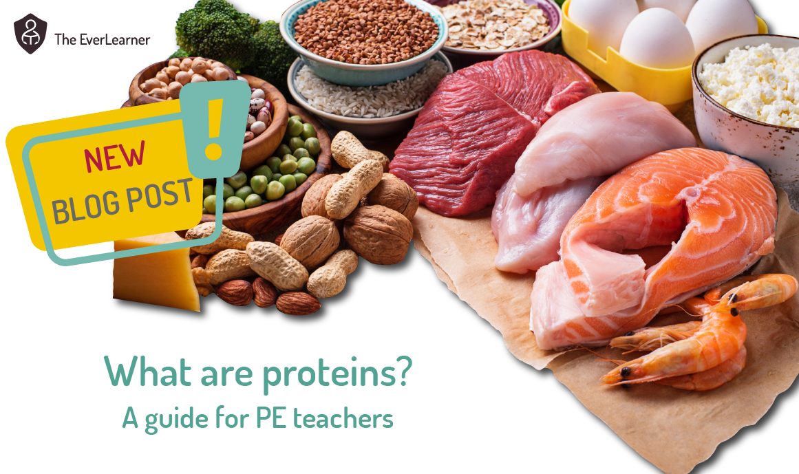 What are proteins? A guide for PE teachers